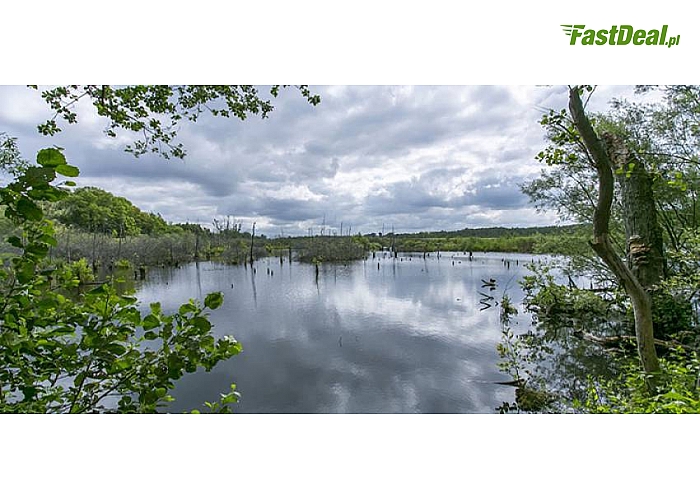 KOŁOBRZEG! Hotel Prima Natura zaprasza na 3-dniowy pobyt SPA. Komfortowe pokoje, PEŁNE WYŻYWIENIE (śniadania, obiady, kolacje, desery), dostęp do JACUZZI i SAUNY, MASAŻ twarzy, MASAŻ z aromaterapią, zabieg borowinowy i inne. Tylko 224 zł!