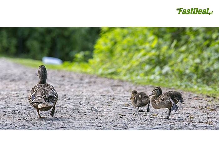 KOŁOBRZEG! Hotel Prima Natura zaprasza na 3-dniowy pobyt SPA. Komfortowe pokoje, PEŁNE WYŻYWIENIE (śniadania, obiady, kolacje, desery), dostęp do JACUZZI i SAUNY, MASAŻ twarzy, MASAŻ z aromaterapią, zabieg borowinowy i inne. Tylko 224 zł!
