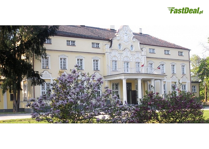 "PAŁAC WITASZYCE" Hotel-Restauracja-Muzeum w Wielkopolsce. Śniadania oraz pokoje wyposażone w łazienkę i TV.