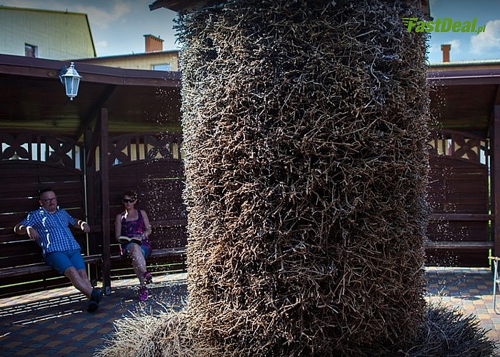 Sanatorium Uzdrowiskowe Eden w Ciechocinku! Pobyt leczniczy! Pełne wyżywienie! Całodobowa opieka medyczna! Grota solna!