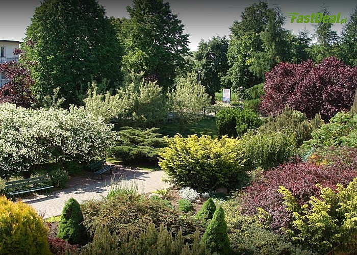 Sanatorium Uzdrowiskowe Eden w Ciechocinku! Pobyt leczniczy! Pełne wyżywienie! Całodobowa opieka medyczna! Grota solna!