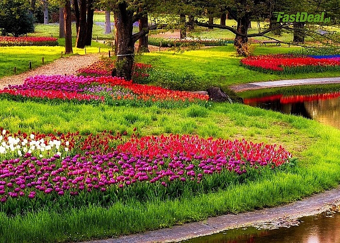 Ogród KEUKENHOF, Parada Kwiatów oraz zwiedzanie AMSTERDAMU podczas kilkudniowej wycieczki