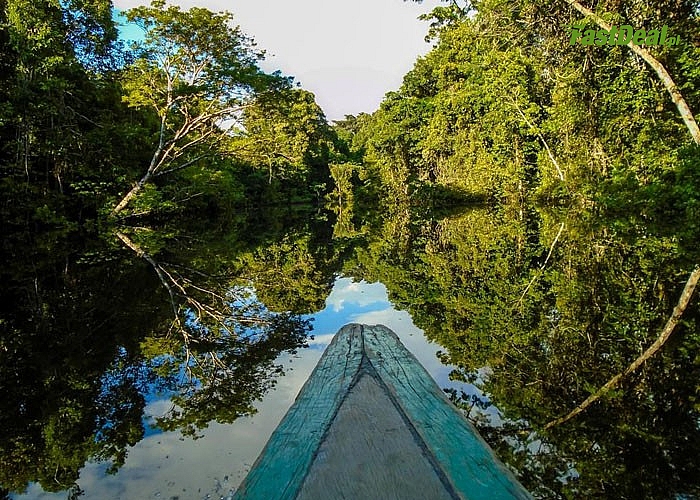 AMAZONIA - wyprawa przez dżunglę KOLUMBII, BRAZYLII I PERU