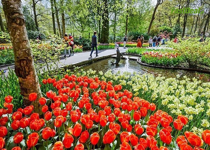 Poczuj wiosnę! Festiwal Tulipanów w Keukenhof! 3 dniowa wycieczka do Holandii połączona ze zwiedzaniem.