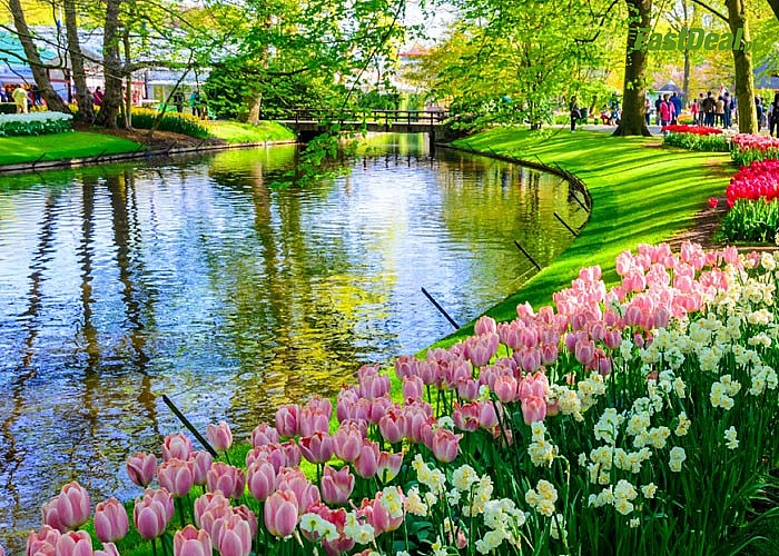 Magiczny Amsterdam i ogród Keukenhof! Wycieczka na Paradę Kwiatów Express