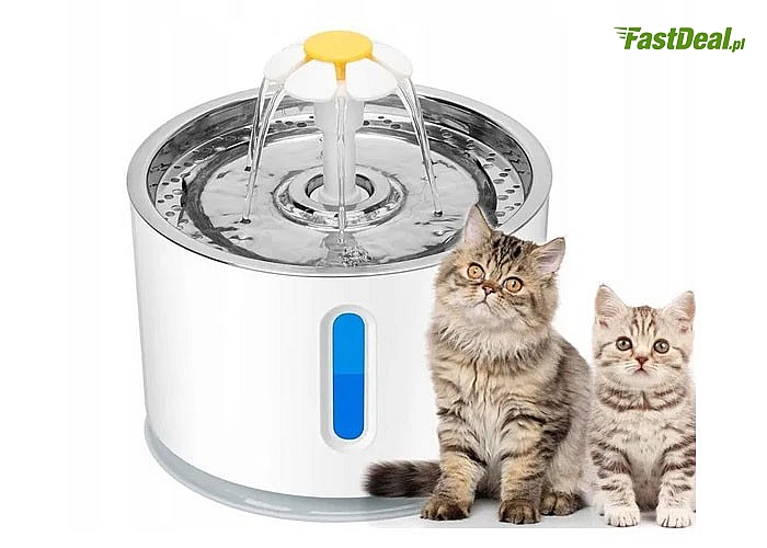 Automatyczna fontanna dla kota zapewni odpowiednią ilość wody Twojemu pupilowi