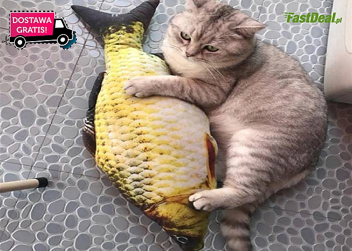 Poduszka w kształcie ryby to  świetna zabawka dla kota