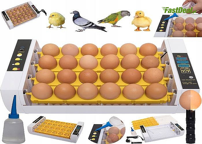 Inkubator do wylęgu 24 jaj kurzych, bażantów, perliczek, przepiórek, kuropatw, ptaków egzotycznych i drapieżnych