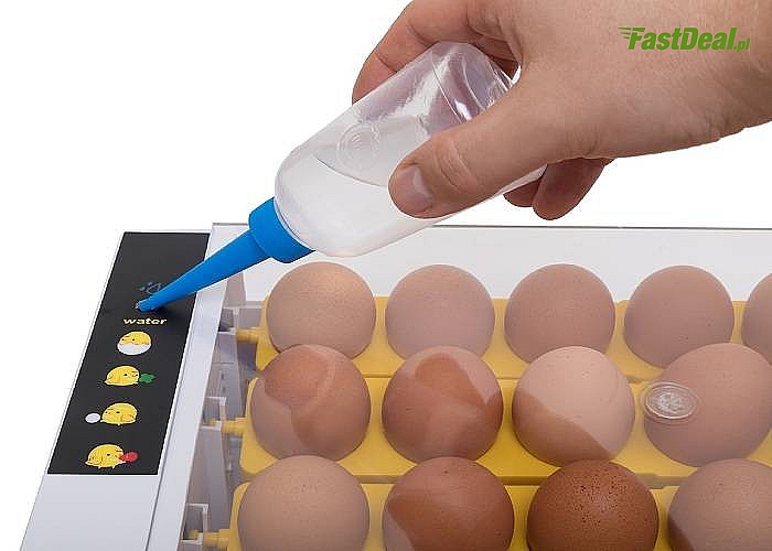 Inkubator do wylęgu 24 jaj kurzych, bażantów, perliczek, przepiórek, kuropatw, ptaków egzotycznych i drapieżnych