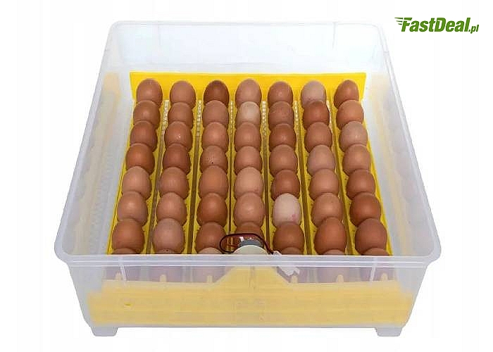 Inkubator klujnik wylęgarka do jaj, wylęgu drobiu 56 jajek kurzych + gratisy