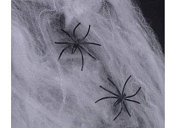 Pajęczyna z pająkami