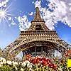 5-dniowa (2 noclegi) wycieczka dla 1 osoby do Paryża i Eurodisneylandu