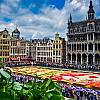 Co dwa lata Grand Place w Brukseli pokrywa kolorowy dywan. Wybierz się na wycieczkę i zobacz to na własne oczy!